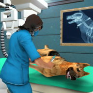 宠物医院模拟器2020