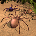 蜘蛛模拟生存无限金币