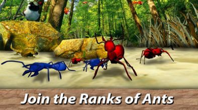 蚂蚁模拟器2汉化版