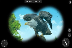 3D猎鸟人手机版