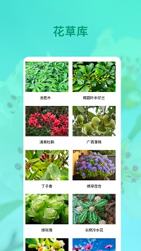 花卉识别软件app.jpg