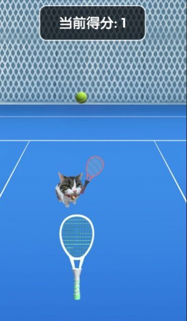 猫咪网球