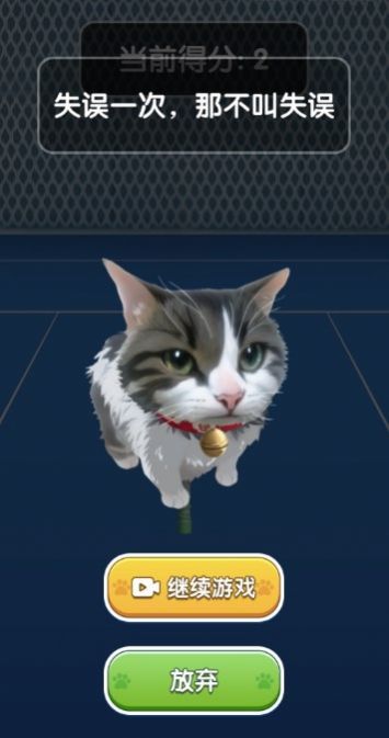 猫咪网球.jpg