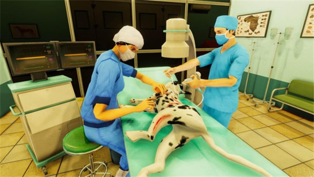 宠物手术模拟器
