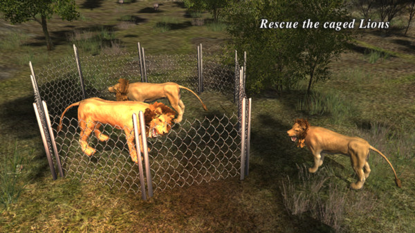 狮子模拟猎捕无限金币.jpg