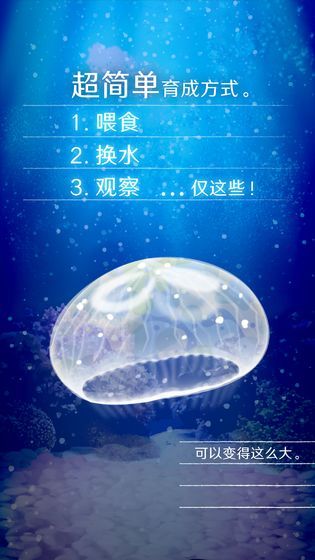 治愈的养成水母中文版